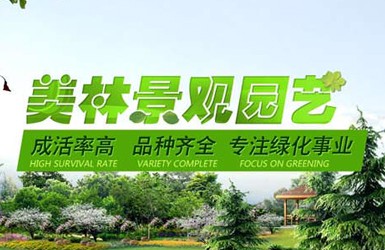 撫順市綠都園林工程有限公司網站建設案例