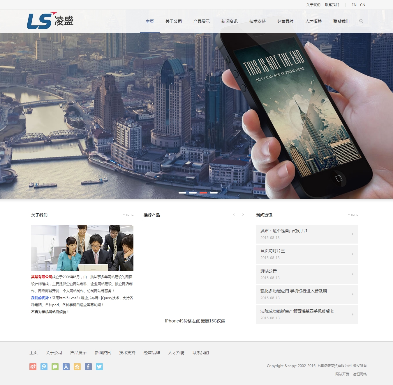 上海凌盛商貿有限公司網站制作案例