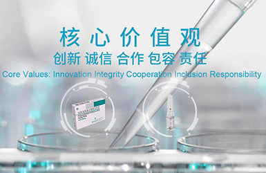 上海禾豐制藥有限公司網站設計案例